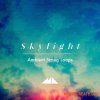 ModeAudio Skylight Ambient String Loops (WAV) - сэмплы Ambient ModeAudio Skylight Ambient String Loops (WAV) - сэмплы Ambient