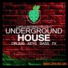 Lupulo Records Underground House (WAV) Lupulo Records Underground House (WAV)