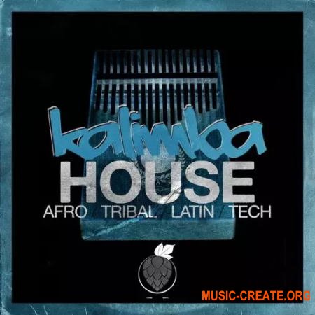 Dirty Music Kalimba House (WAV)
