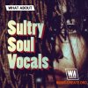 W. A. Production Sultry Soul Vocals (MULTiFORMAT) W. A. Production Sultry Soul Vocals (MULTiFORMAT)