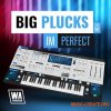 W. A. Production What аbout: Big Plucks For ImPerfect (ImPerfect Presets) W. A. Production What аbout: Big Plucks For ImPerfect (ImPerfect Presets)