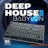 W. A. Production What аbout: Deep House for Babylon (Babylon Presets) W. A. Production What аbout: Deep House for Babylon (Babylon Presets)