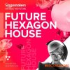 Singomakers Future Hexagon House (WAV REX) Singomakers Future Hexagon House (WAV REX)
