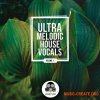 Vandalism Ultra Melodic House Vocals (WAV) Vandalism Ultra Melodic House Vocals (WAV)