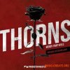 Production Master Thorns Moody Trap Vibes (WAV) Production Master Thorns Moody Trap Vibes (WAV)