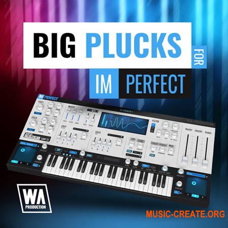 W. A. Production What аbout: Big Plucks For ImPerfect (ImPerfect Presets)