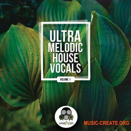 Vandalism Ultra Melodic House Vocals (WAV)