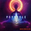 Black Octopus Sound Enigma Psystyle (WAV Serum)
