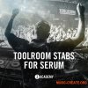 Toolroom Stabs For Serum (Serum presets) Toolroom Stabs For Serum (Serum presets)