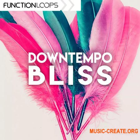 Function Loops Downtempo Bliss (WAV)