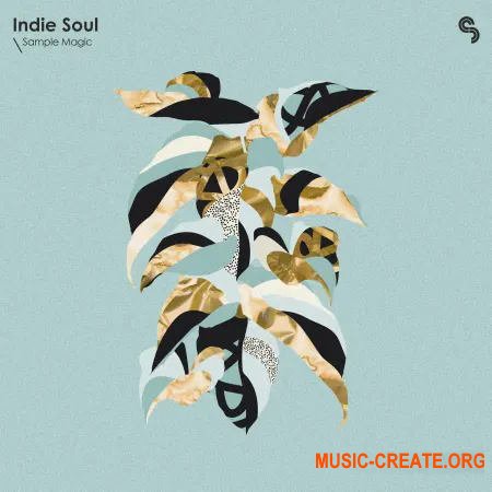 Sample Magic Indie Soul (WAV Beat Maker Astra)