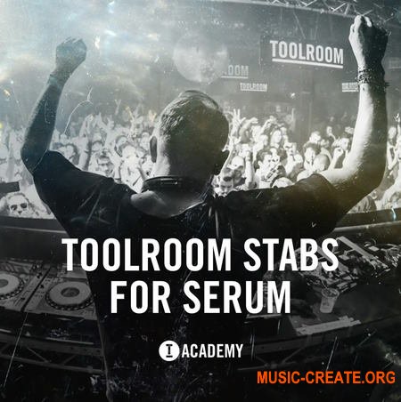 Toolroom Stabs For Serum (Serum presets)