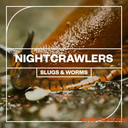 Blastwave FX Nightcrawlers: Slugs and Worms (WAV)