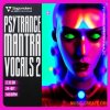 Singomakers Psytrance Mantra Vocals 2 (MULTiFORMAT) Singomakers Psytrance Mantra Vocals 2 (MULTiFORMAT)