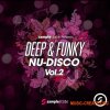 Samplestate Deep & Funky Nu-Disco 2 (MULTiFORMAT) Samplestate Deep & Funky Nu-Disco 2 (MULTiFORMAT)