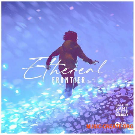 Black Octopus Ethereal Frontier (WAV SERUM)