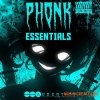 Audentity Records Phonk Essentials (WAV) Audentity Records Phonk Essentials (WAV)