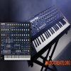 KORG MonoPoly v2.4.3 (Team R2R)