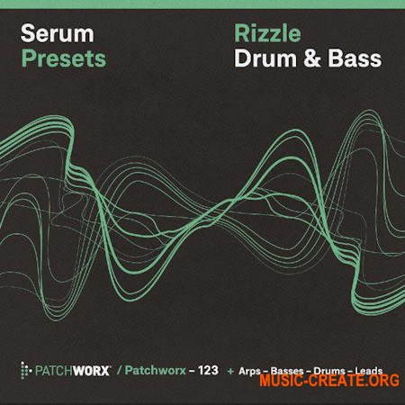 Loopmasters Patchworx 123 Rizzle DnB (Serum Presets)