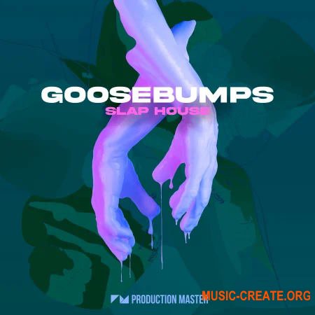 Production Master Goosebumps Slap House (WAV SERUM)