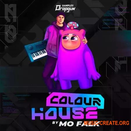 Dropgun Samples Mo Falk Colour House (WAV SERUM)