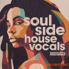 Looptone Soulside House Vocals (WAV) Looptone Soulside House Vocals (WAV)