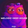 Dropgun Samples Melodic Deep House (WAV SERUM)