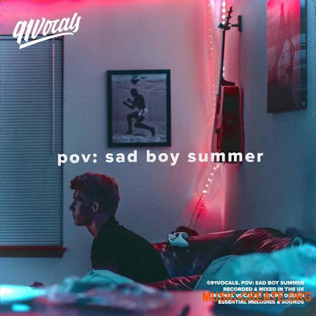 91Vocals pov sad boy summer (WAV)