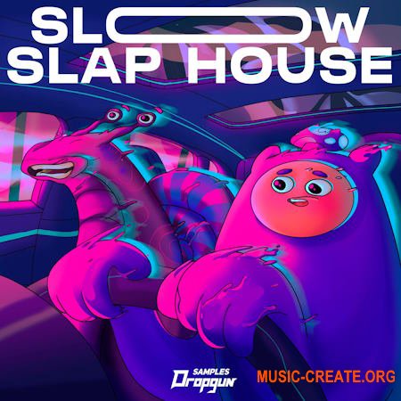 Dropgun Samples Slow Slap House (WAV SERUM)