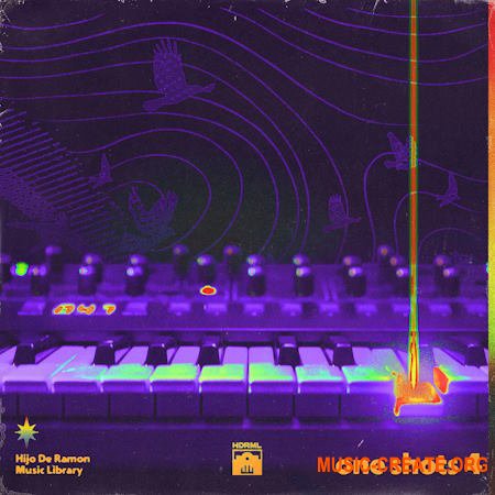 Hijo De Ramon Music Library ONE SHOTS - VOL 4 (WAV)