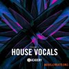 Toolroom Academy House Vocals Vol. 2 (WAV) Toolroom Academy House Vocals Vol. 2 (WAV)