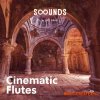 Gio Israel Sounds Cinematic Flutes (WAV) Gio Israel Sounds Cinematic Flutes (WAV)