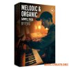 Production Music Live Fejka: Melodic & Organic Sample Pack (MULTiFORMAT) Production Music Live Fejka: Melodic & Organic Sample Pack (MULTiFORMAT)