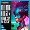 Singomakers Melodic House & Progressive sample pack by Incognet (MULTIFORMAT) Singomakers Melodic House & Progressive sample pack by Incognet (MULTIFORMAT)