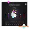 UVI Falcon Expansion Organic Arps v1.0.0 (Team R2R) UVI Falcon Expansion Organic Arps v1.0.0 (Team R2R)