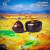 Sonic Collective Abducted Percussion (WAV)