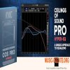 Ayaic Ceilings Of Sound PRO v0.6.1 (Team R2R) Ayaic Ceilings Of Sound PRO v0.6.1 (Team R2R)