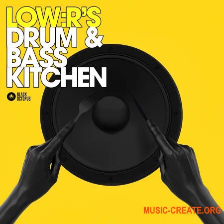 Black Octopus Sound LOW:R's Drum And Bass Kitchen (WAV Serum)