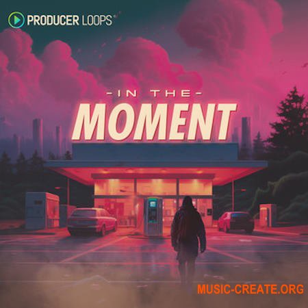 Producer Loops In The Moment (MULTiFORMAT)