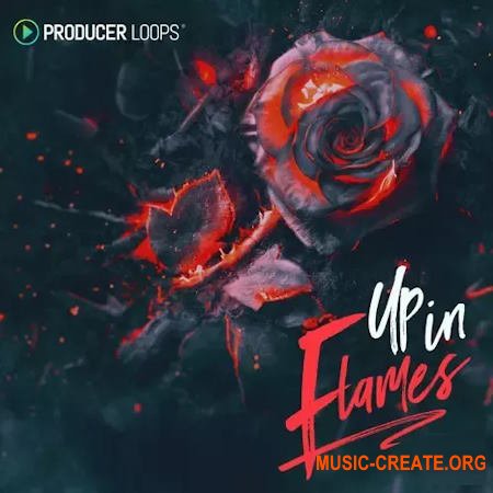 Producer Loops Up In Flames (MULTIFORMAT)