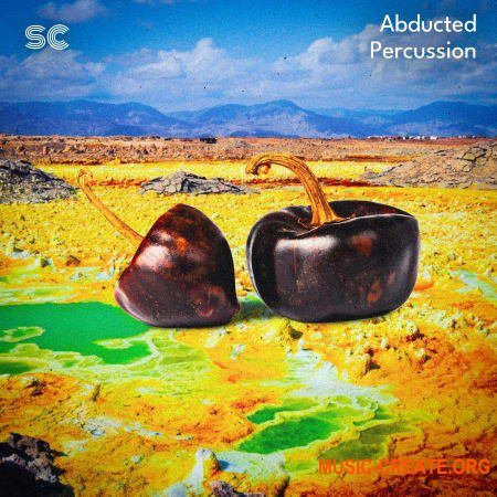 Sonic Collective Abducted Percussion (WAV)