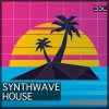 Deep Data Loops Synthwave House (WAV MiDi) Deep Data Loops Synthwave House (WAV MiDi)