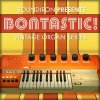 Soundiron Bontastic! (KONTAKT)