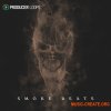 Producer Loops Smoke Beats (MULTIFORMAT) Producer Loops Smoke Beats (MULTIFORMAT)