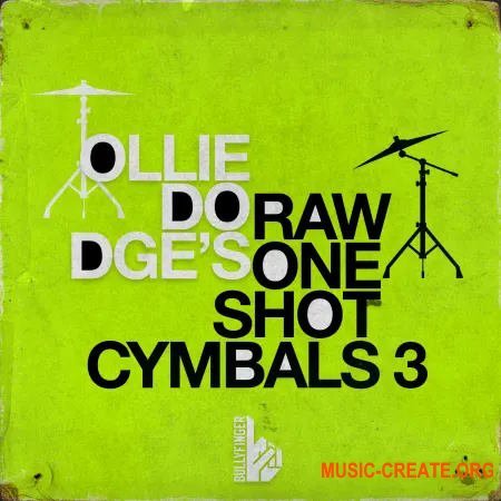 Bullyfinger Raw One-Shot Cymbals 3 (WAV)