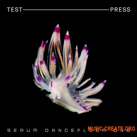 Test Press Serum Dancefloor DnB (MULTIFORMAT FULL)