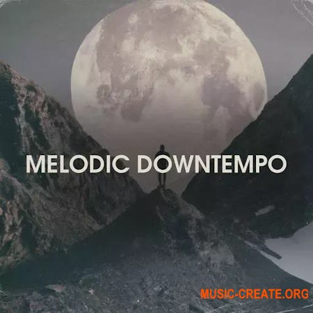 Bingoshakerz Melodic Downtempo (WAV)