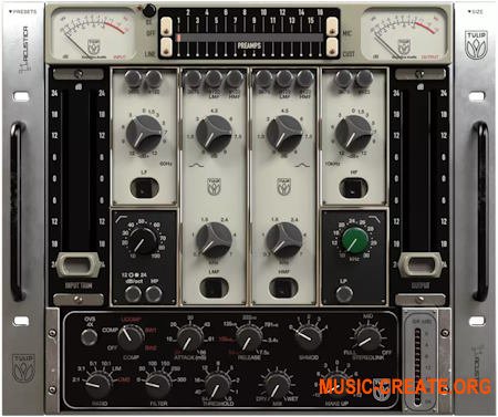 Acustica Audio Tulip 2023 (Team R2R)