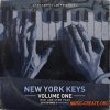The Sample Lab New York Keys Vol.1 (Compositions And Stems) (WAV MiDi)