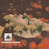 Polyphonic Music Library Lauren Santi Vol.1 (Compositions) (WAV)